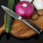 Conjunto de Facas Profissionais Damascus Chef’s Knife